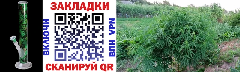 Где найти наркотики Гулькевичи Кокаин  A-PVP  ГАШ  Бошки Шишки  АМФ  Меф мяу мяу 