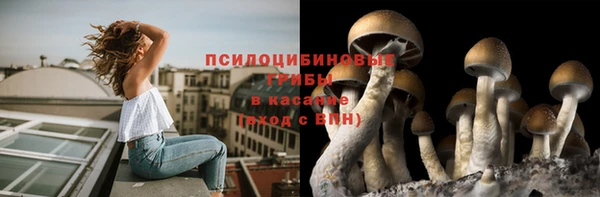 MDMA Богородицк