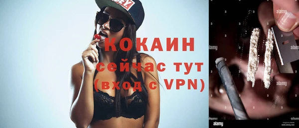 мдпв Богданович