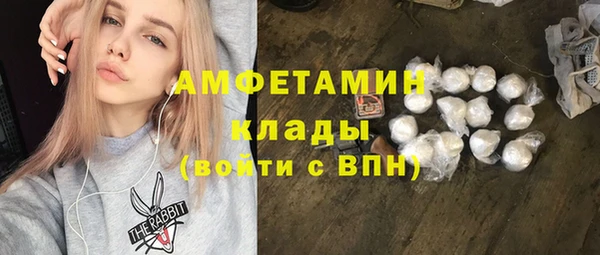 амф Верхний Тагил