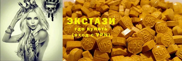 амф Верхний Тагил