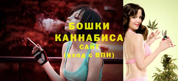 амф Верхний Тагил