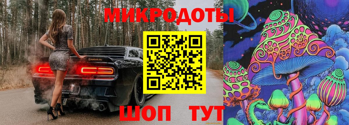 Галлюциногенные грибы Psilocybine cubensis Гулькевичи