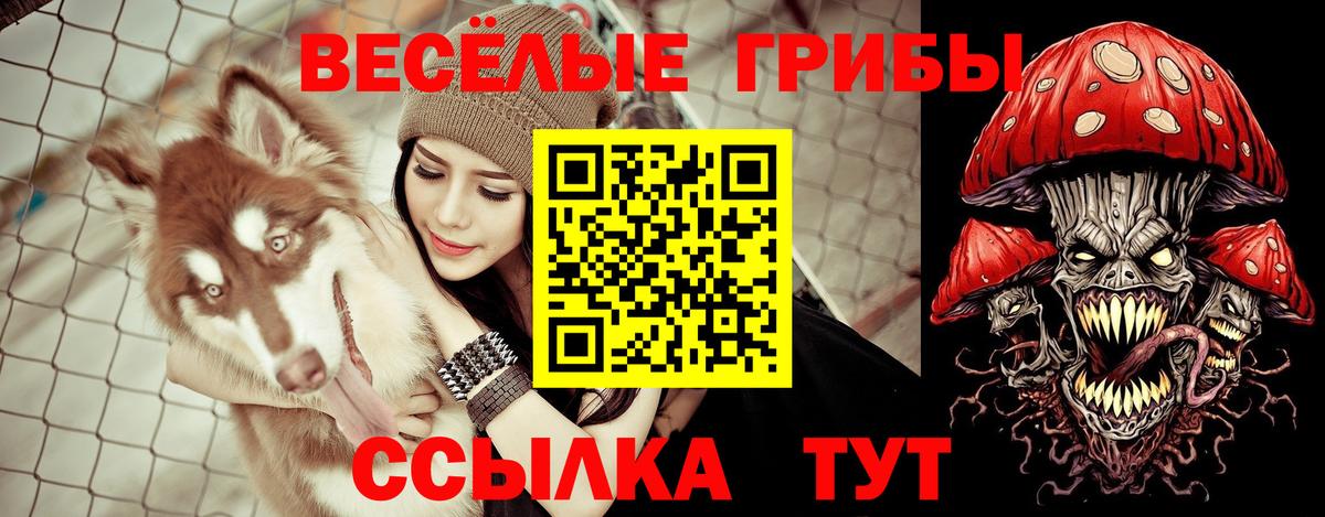 Галлюциногенные грибы прущие грибы  Гулькевичи 